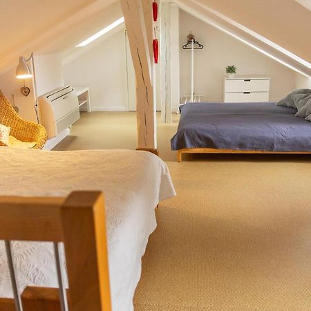 City Center Duplex Loft Колмар Екстериор снимка