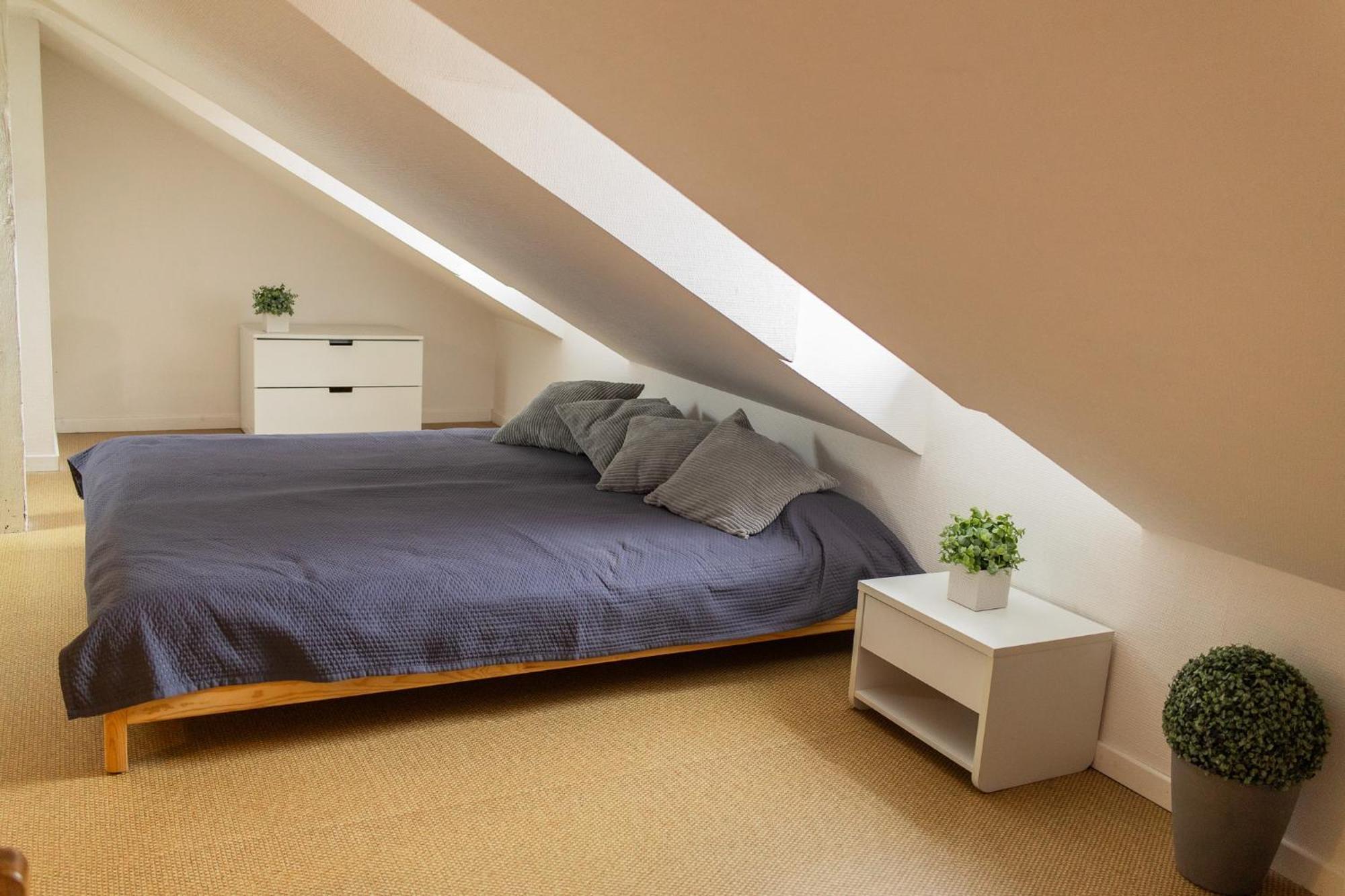 City Center Duplex Loft Колмар Екстериор снимка